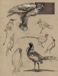 Some pages of dynamic sketching Some of these are on-site sketches:) enjoy! | 동물 스케치, 동물 그림, 미술 스케치북