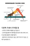 요가에 있는 수희 정님의 핀 | 요가