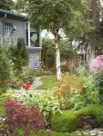 Tips for Designing the Perfect Garden | 조경