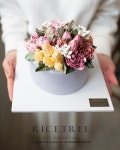 10 Likes, 4 Comments - ricetree.라이스트리.앙금 플라워 떡 케이크 (@ricetree.cake) on Instagram: “#버터크림클래스 1주차... 