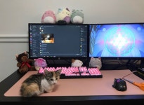 Pin by 킹왕짱 on SETUPWB | Gaming room setup, Gamer room, Gamer setup