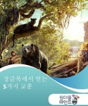 정글북에서 얻는 5가지 교훈 | Brown bear, Books, Bear