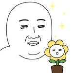 오늘의 짤 #짤 살아보세