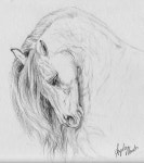 Pencil+Drawings+of+Horses | WIP Horse drawing... - WetCanvas | 말 그림, 말