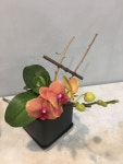 Orchid  arrangements에 있는 Juyeon Kim님의 핀