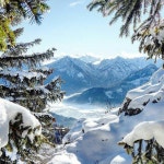 Gaml .y (@m_yosry2012) | Twitter | 자연 사진, 그림, 사진