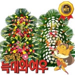 서울아산병원장례식장 근조화환 결혼식 축하화환 꽃배달 | 결혼식, 결혼식장, 결혼식 피로연