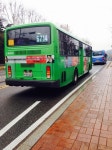 아싸 나도 버스보ㅓㅆ닼ㅋㅋㅋ - 문채원 갤러리 (With images) | Views, Bus, Day