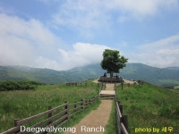 대관령 삼양목장