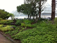 Yeomiji Botanical Garden in Jeju Seoguipo Joogmoon(제주 서귀포 중문) | Jeju island, Jeju, Island