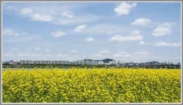 서래섬의 기억..