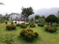 My  garden  나의정원에 있는 ok hwa jang님의 핀
