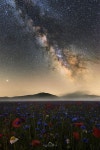 Light on the bloom - | 은하수