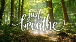 관련 이미지 (With images) | Just breathe, Wild women sisterhood, Breathe