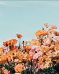 배경화면에 있는 이 윤정님의 핀 | 배경화면