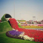 #WhatIsOrganicVegetableGardening | 조경, 꽃