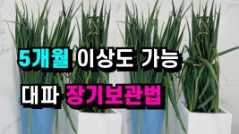 요리 panosundaki Pin