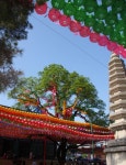 조계사, Jogye Temple