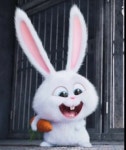 마이펫의 이중생활 | Cute cartoon pictures, Cute bunny cartoon, Cute disney wallpaper