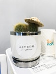 인천 부평 베이커리 인테리어 / 견적문의환영/ 에시드디자인 010-5442-6317 | 베이커리, 인테리어, 디자인