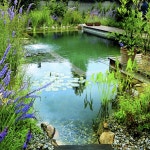 natural pool--fill once--self cleaning | 정원 가꾸기, 연못, 연못 분수