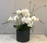 Orchid  arrangements에 있는 Juyeon Kim님의 핀
