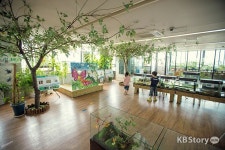 책과 함께 파주출판도시 문화공간 노닐기 – 2014 어린이책잔치 나비나라박물관 - 다양한 종의 아름다운 나비를 만나다 | 아름다운