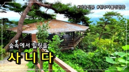 [원주카페] 최고의 마운틴뷰 숲속카페 사니다 / 원주카페 원주가볼만한곳 원주여행 - 2022 | 야외활동, 야외 구조물