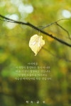 아름다운 마무리 | 영감을 주는 인용구, 좋은 글귀, 인생 레슨