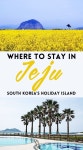 Where to stay in Jeju – a guide to South Korea’s holiday island | 한국 Where to stay in Jeju – a guide to South Korea’s... 