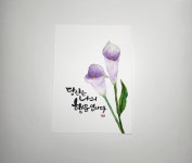 캘리그라피에 있는 여리님의 핀 - 2023 | 수채화