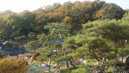 연천 조선왕가
