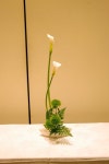 Pin by 미희 오 on 연중 | Ikebana arrangements, Ikebana, Flower arrangements simple