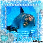 ||ll-♥-ll||.♥~Dolphin~♥.||ll-♥-ll|| | 돌고래