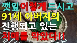 건강한 식사에 있는 핀