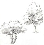 how to draw realistic forest - Google Search | 스케치, 그림, 그림 그리기
