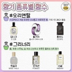 향잘알이 한눈에 정리한 향기별 대표 향수 - 2023 | 향수, 피부관리 제품, 메이크업 제품