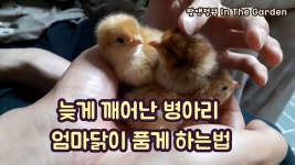팜앤정원 In The Garden에 있는 핀