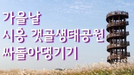 가을날 시흥 갯골생태공원 싸돌아댕기기 | 여행