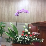 8/6 8월 첫번째주간 성전꽃꽂이 : 네이버 블로그 | Church flowers, Flower arrangements, Flower festival