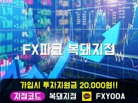 Pin on FX파크