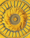 Paper Cheese Dip! • sombrero, sunflower, ikea, minions, many things seem to came to mind when I first saw this intricately crafted... 