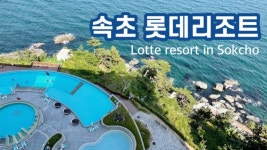 롯데리조트 속초 숙박리뷰. 룸, 부대시설, 워터파크, 호텔 인피니티풀, 호텔조식, 근처맛집 등… | 워터파크, 리조트, 여행