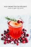 Fizzy Drinks for the Holidays (Say Yes) | 커피 Fizzy Drinks for the Holidays (Say Yes)