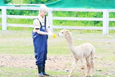 Pin by ｂｅｒｒｉｅ⌇🍃 on 개인의 ♡ in 2023 | Gambar