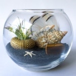 •플랜테리어 Terrarium 으로 나만의 아늑한 실내정원 만들기! : 네이버 블로그 | 테라륨, 테라리움 식물, 테라리움