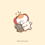 또또(TonTon) | Tonton Friends • 톤톤프렌즈 🌵 on Instagram: “Jealous #Yuta #Bella #Toto 질투 #유타 #벨라 #또또 ⠀ ⠀” | Động vật...