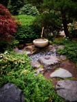 Japanese Garden of Portland stroll path | Small japanese garden, Japanese garden, Asian garden