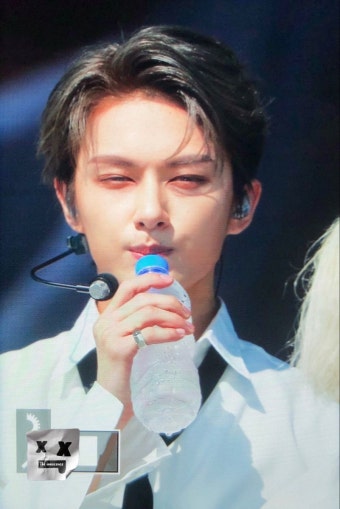 썸머소닉 오사카 세븐틴 준 (With images) | Seventeen, Pledis entertainment, Pledis 17