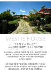 웨스티하우스(이미지 포함) | 인테리어, 애견